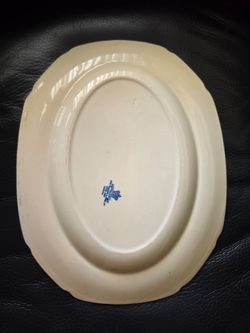 Dish
