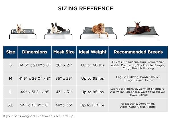 Bedsure Medium Elevated Cooling Dog Bed