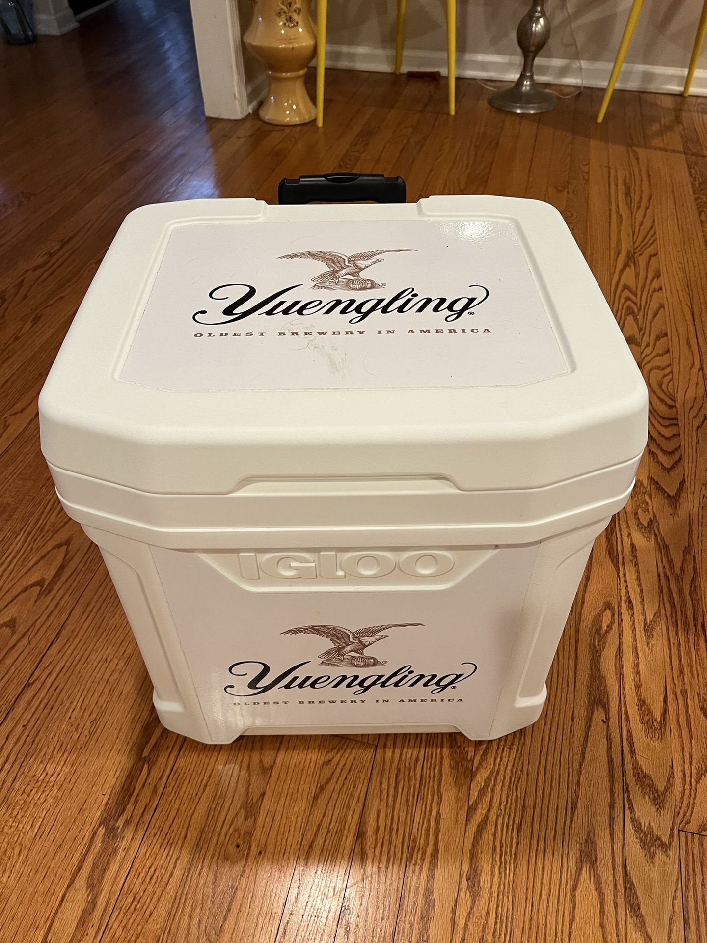 Yuengling branded rolling igloo cooler