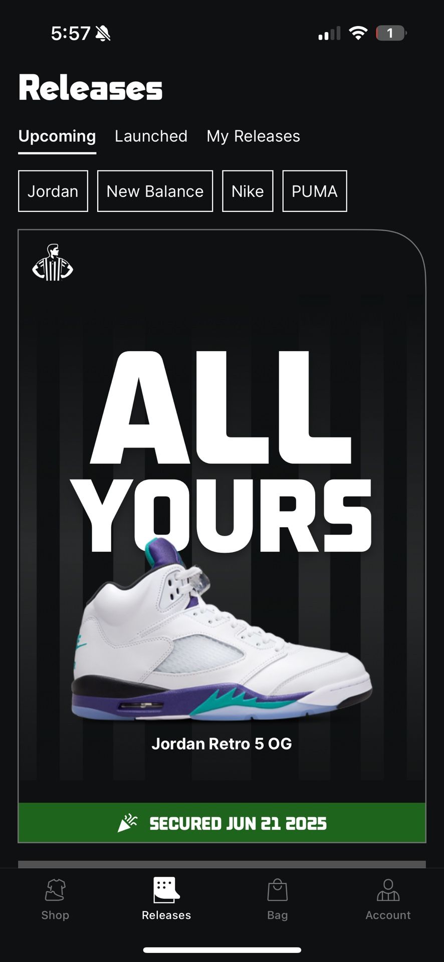 Jordan Retro 5 Grapes