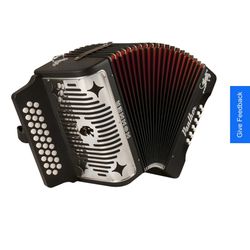 Hohner Panther Accordion