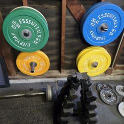 Bumper Plates  Dumbbells