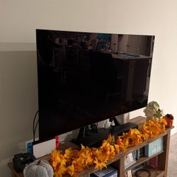 55 Inch Oled LG tv 