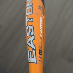 Youth Baseball Bat