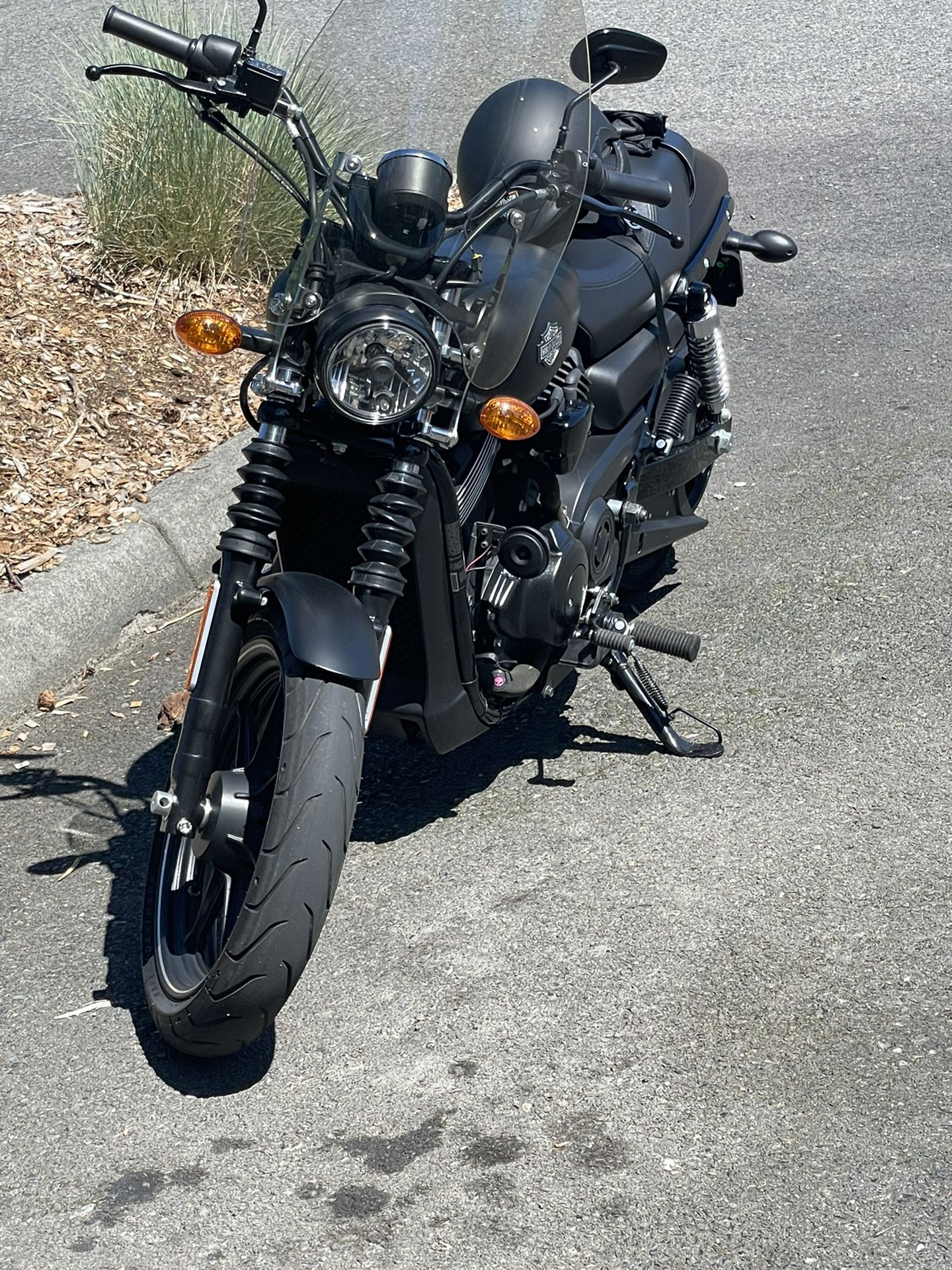 Harley Davidson XG 750 (2015)