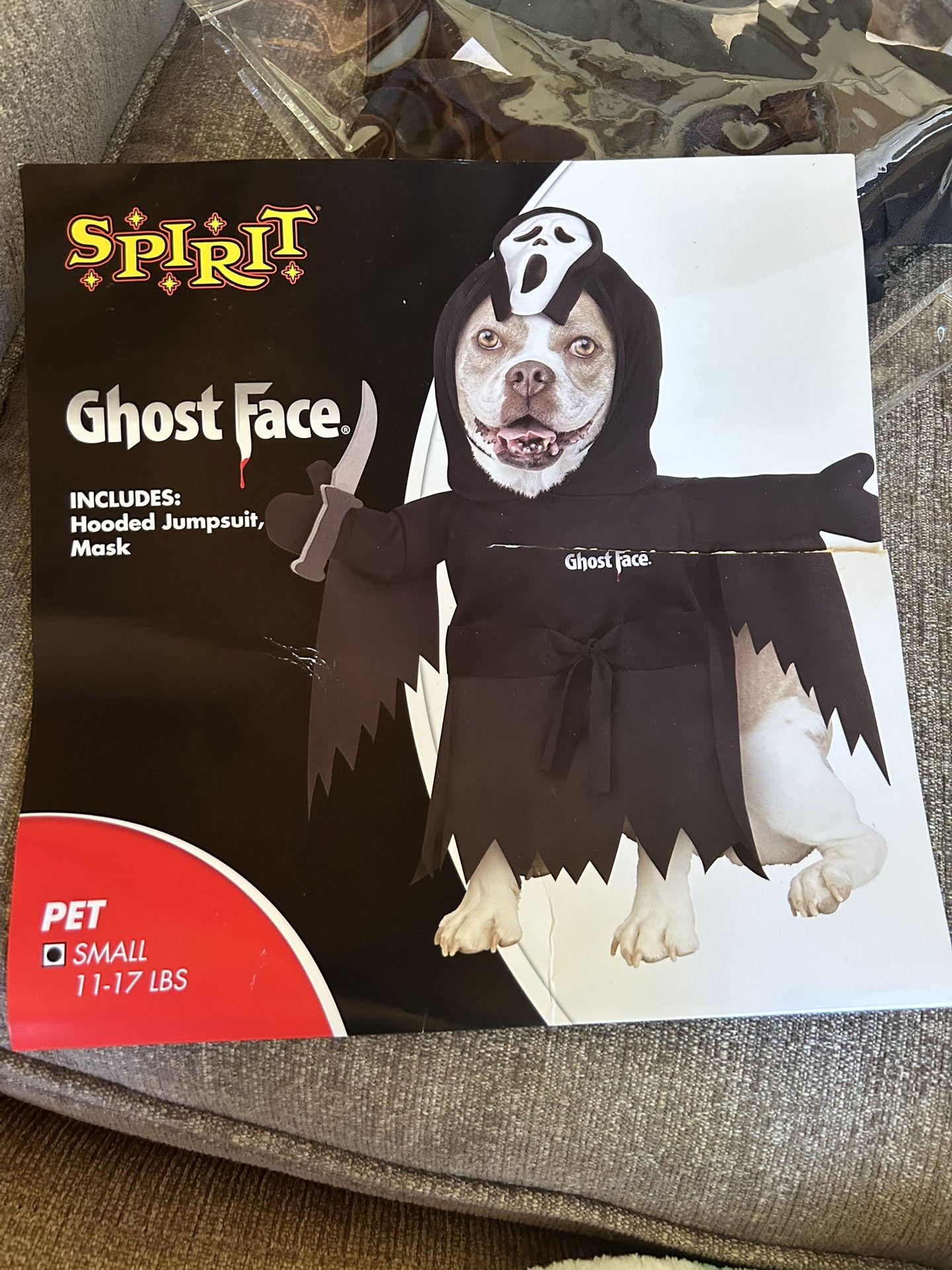 Small Dog Costume