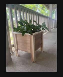 Cedar Planter Boxes