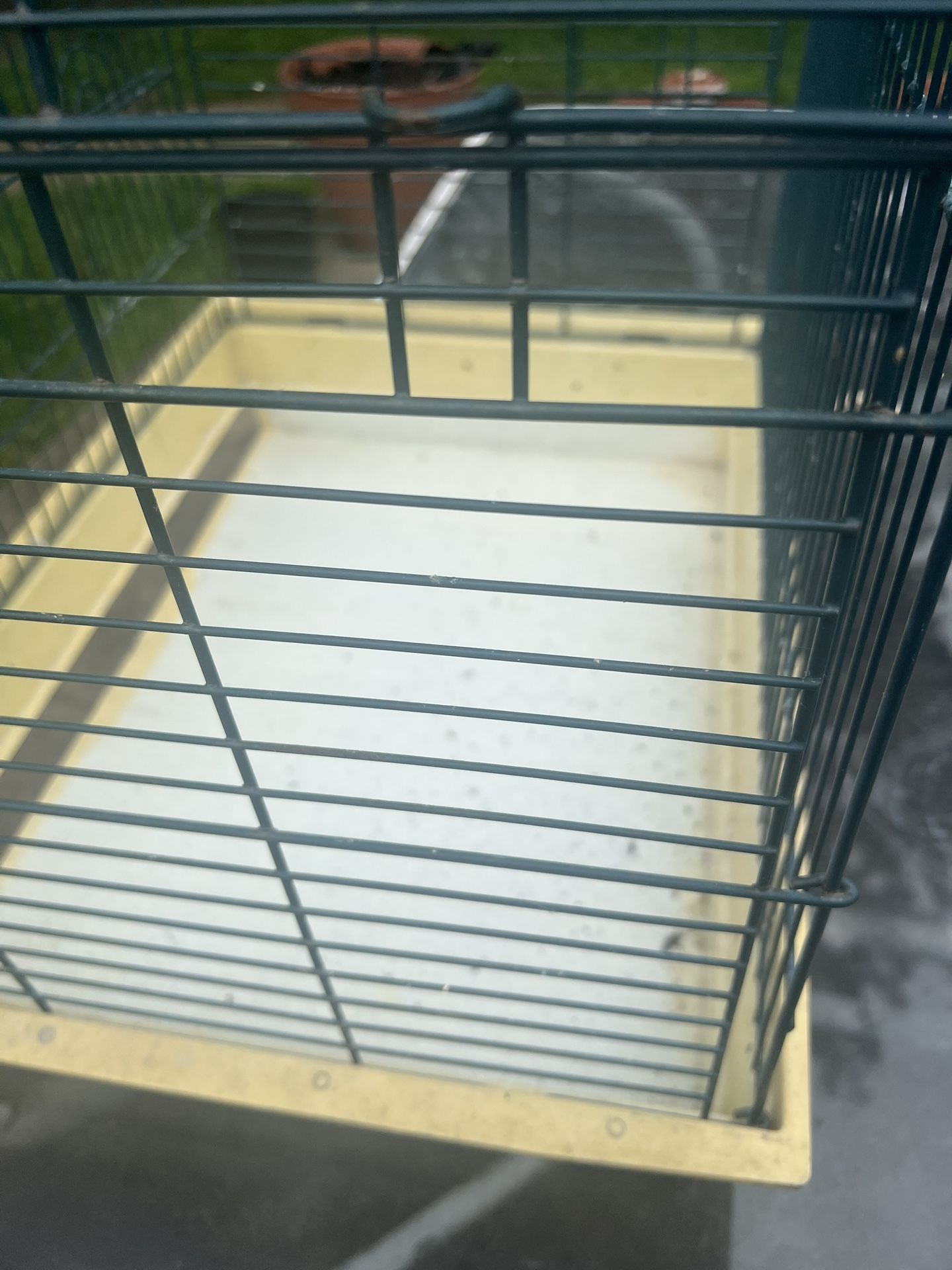 Birdcage