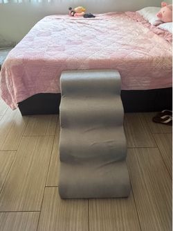 dog steps