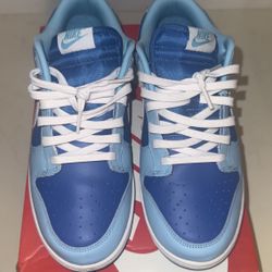 Nike Dunk Low Retro QS