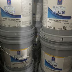 Pintura para Casas Trailas y bardas