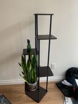 Plant Stand and One Plant