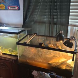 Fish Tanks, Fish, Turtles, Heaters, Filters Ect