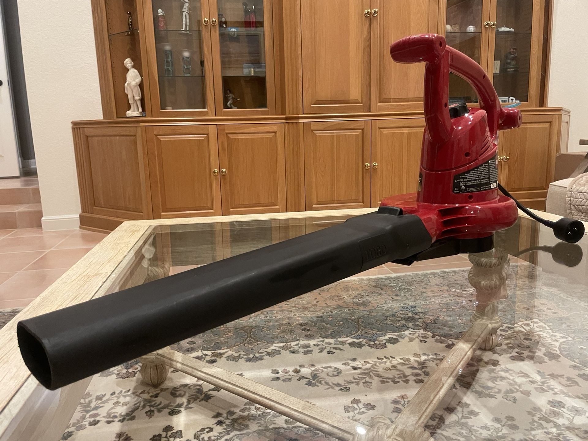 Electric Leaf Blower / Vacuum