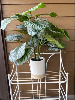 Large fake plants