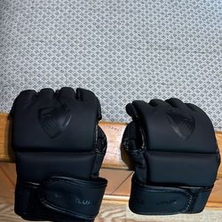 MMA Gloves 