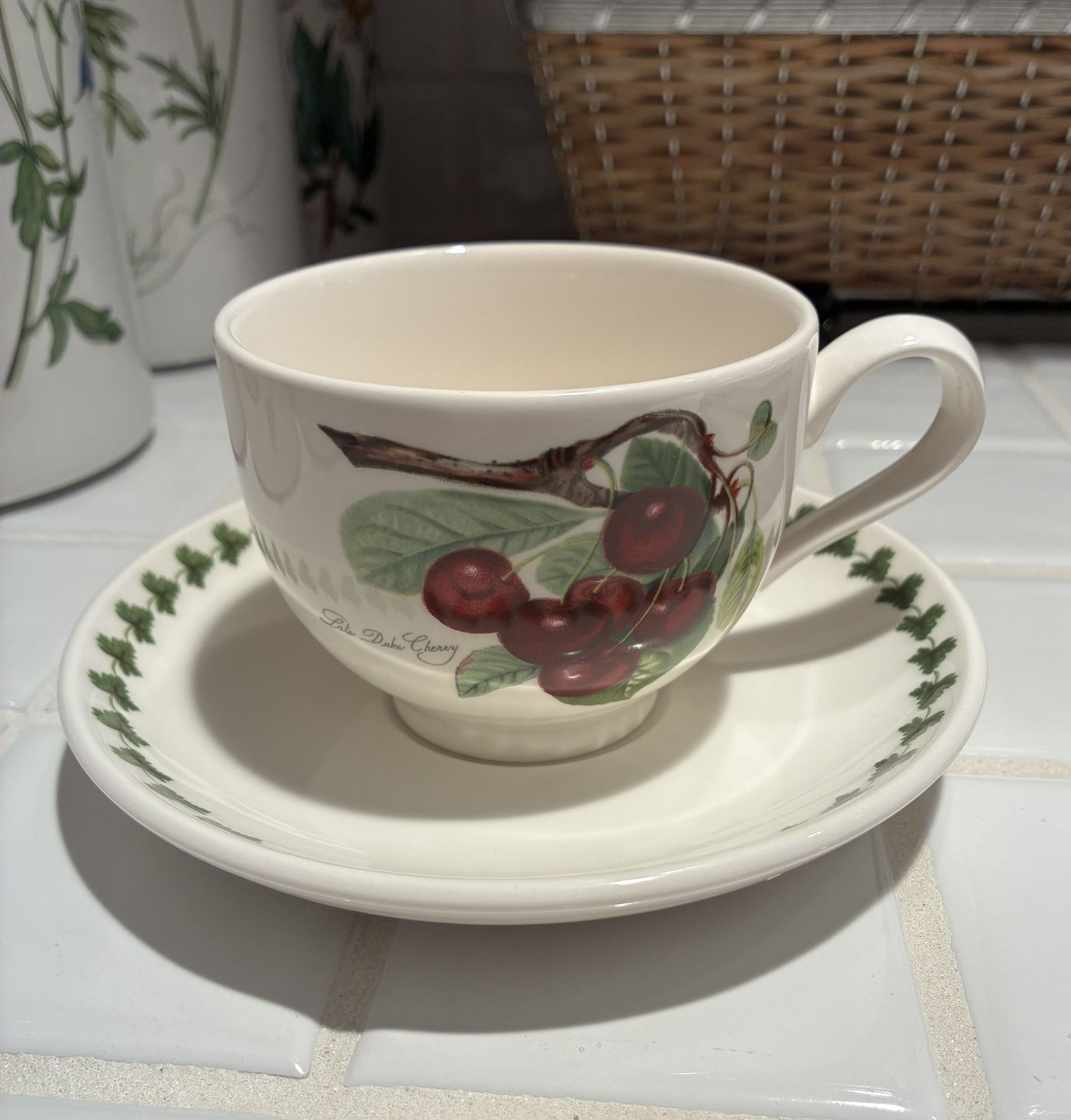 Antique Portmeirion Tea Cup and Saucer