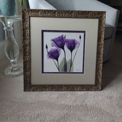 Framed Xray Floral