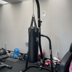 Everlast Pushing Bag 