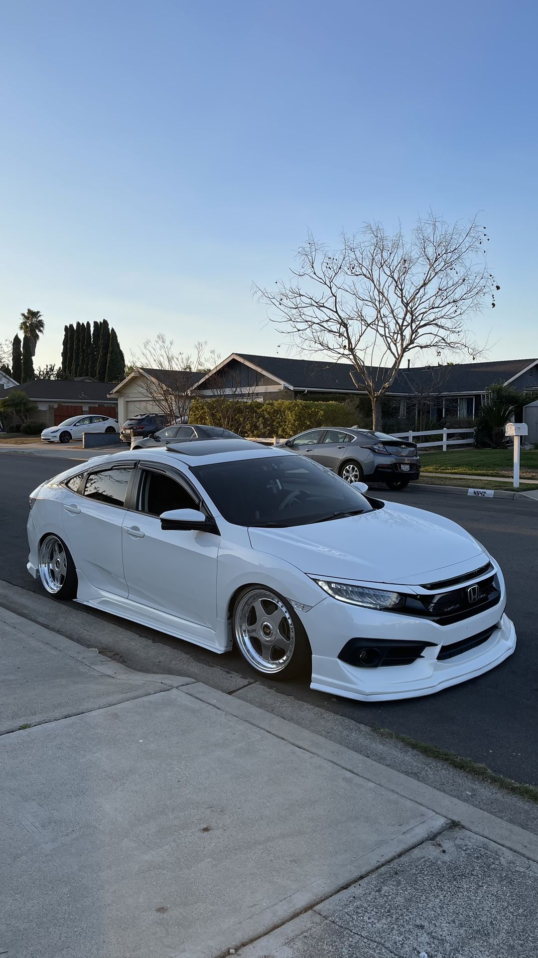 SSR koenigs 