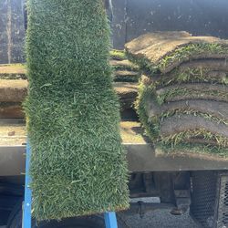 Grass And sprinklers $3 Per Sq/ Ft