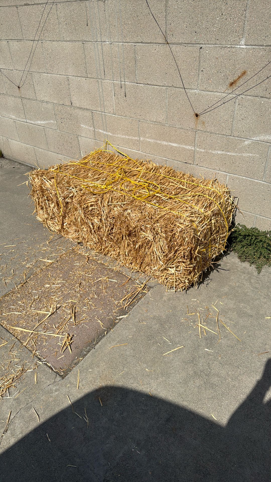 Free Straw For Pet Bedding