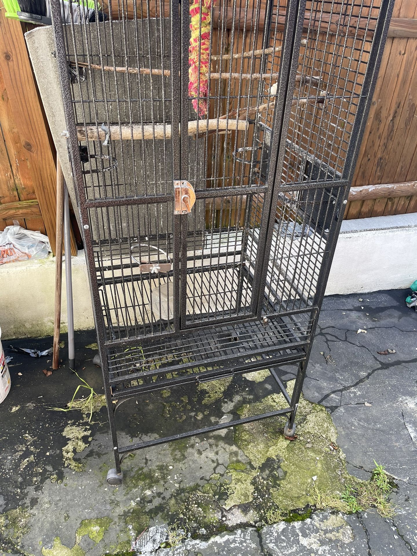Cage For Parrot