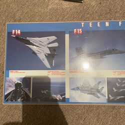 Wood poster of fighter jets  like new