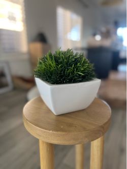 Assorted Faux Plants & Decorative Vases – 7 Pieces – $5 Each or $20 for All