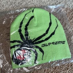 Supreme Spyder Beanie (Green)