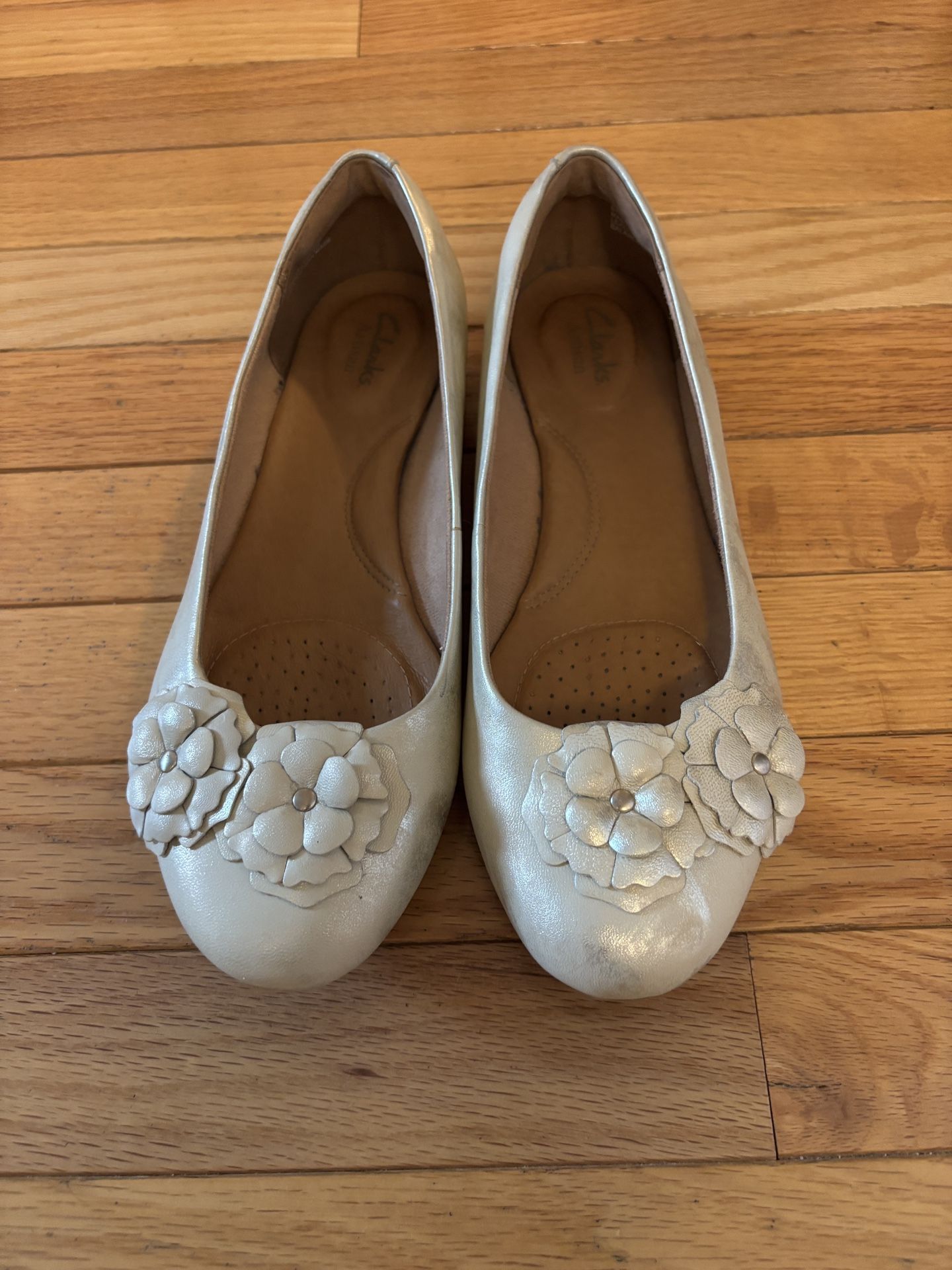 Clarks Falts