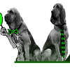 Asset Finders 4 U