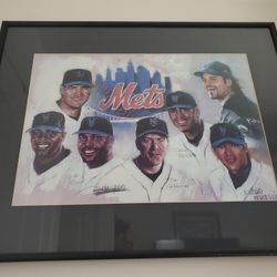 METS FANS ART