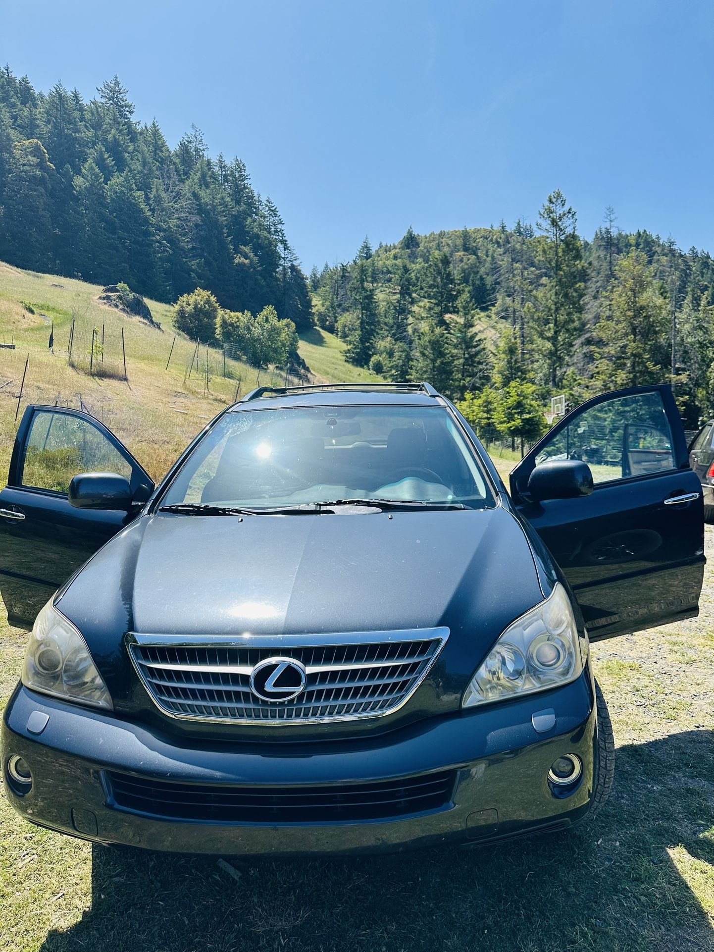 2008 Lexus Rx