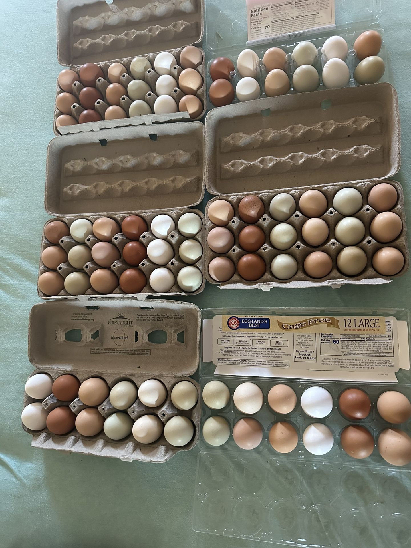 FRESH EGGS