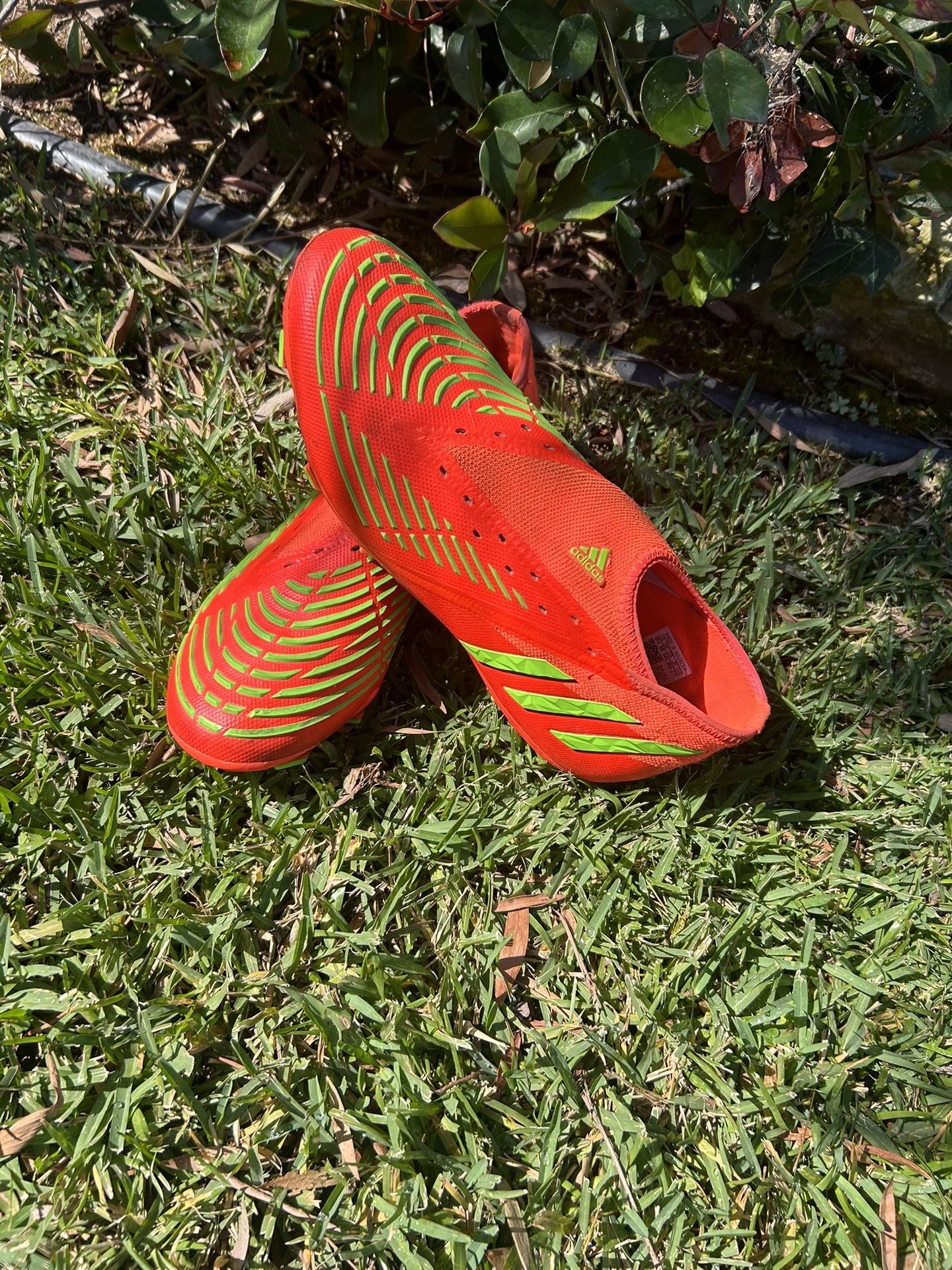 Adidas Predator (size 10.5)