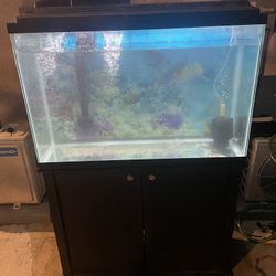 Fish Tank 55 Gallons 