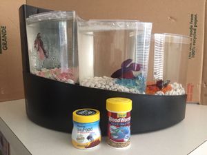 Aqueon Betta Falls Kit With 3 Betta Fishes For Sale In Jacksonville Fl Offerup