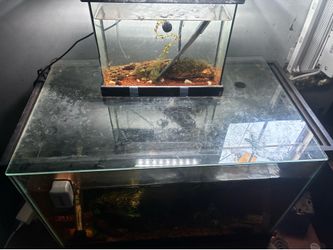 2 fish tanks with a lot of extras