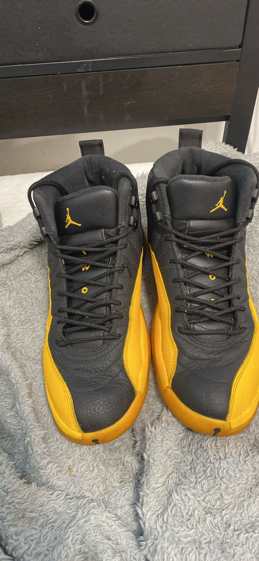 Jordan 12 Size 10.5
