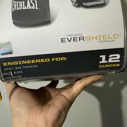 EverLast Heavy bag training Gloves 12 ounces 