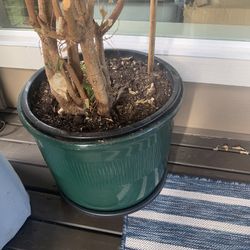 Antique Japanese Writing Desk