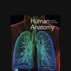 Human Anatomy Ninth Edition 