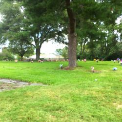 2 Plots & 1 Bronze Marker In Rosewood Memorial Park
