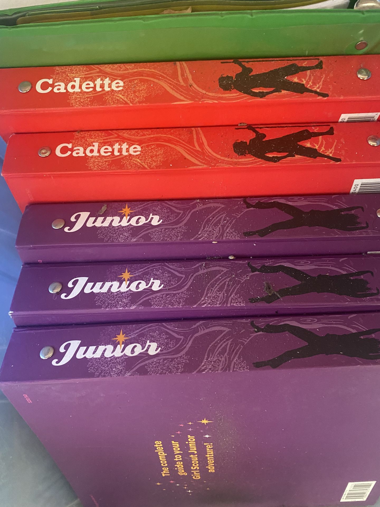 Girl Scouts The Girls Guide To Girls Scouting