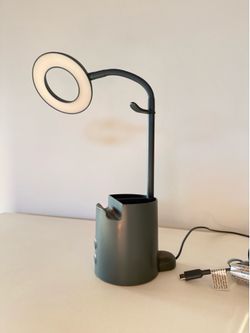 Small flexible desk lamp - USB or plug in