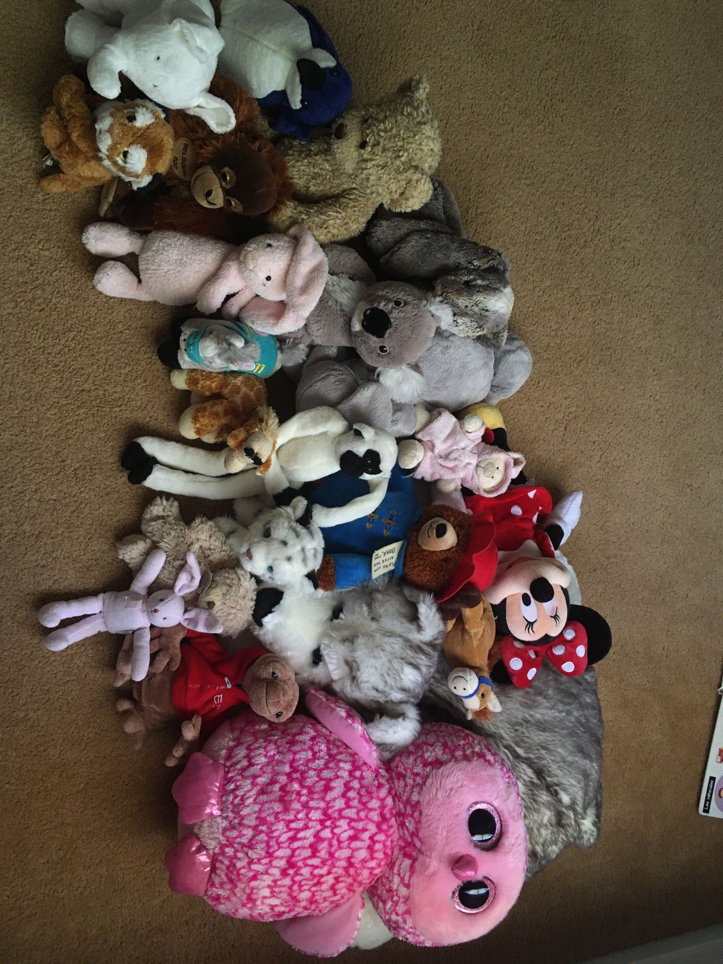 Plush Stuffed animals. +25 Items