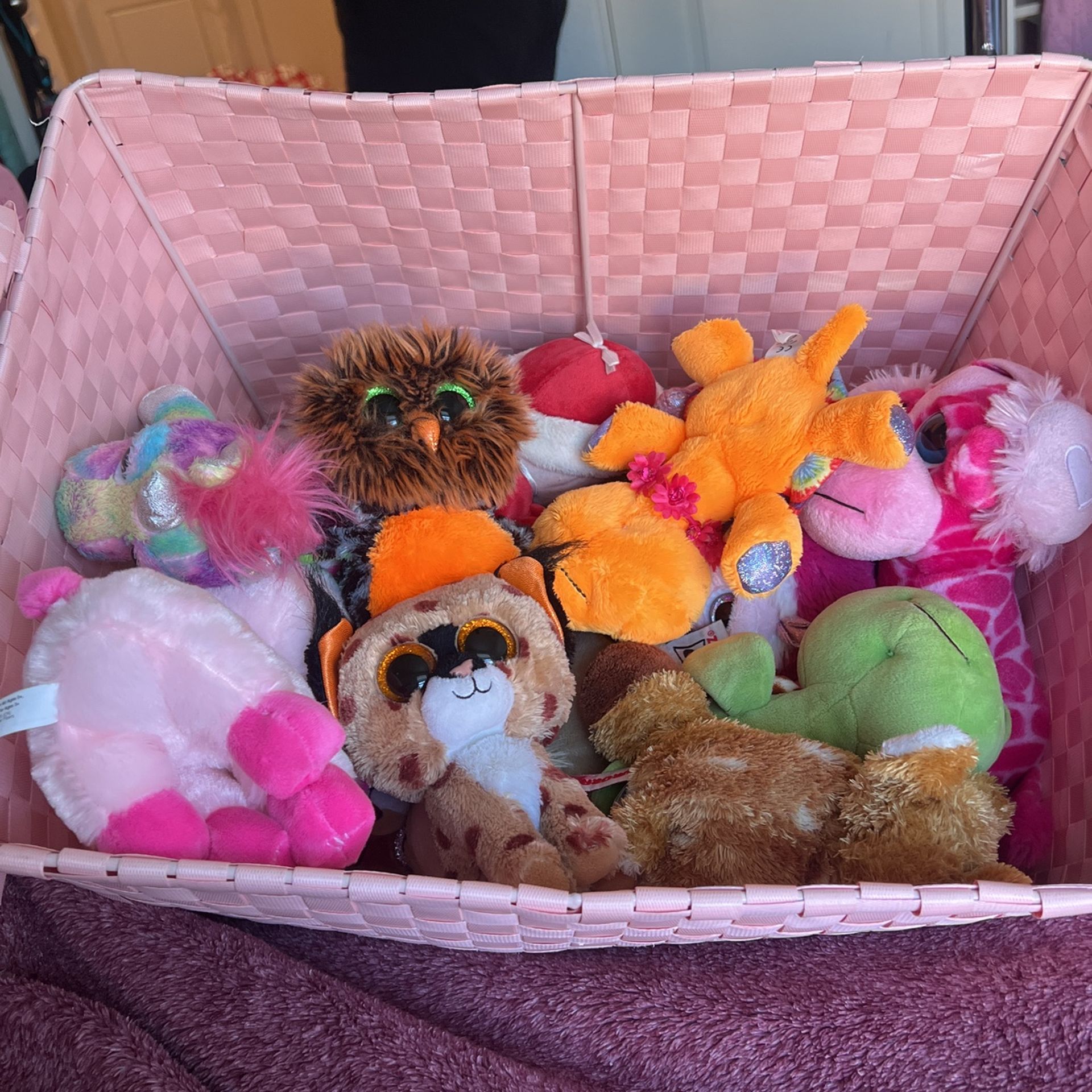 18 Beanie Boo and other stuffed animals