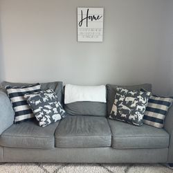 Grey Comfy Couch 