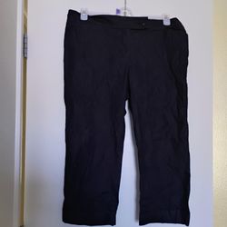 Ann Taylor capri pants